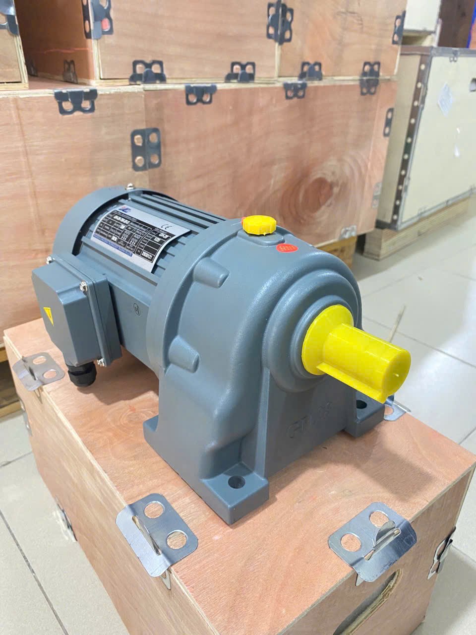 Động cơ giảm tốc, thông số ghi trên tem máy