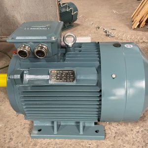 Động cơ điện Winston chân đế với tem thông số