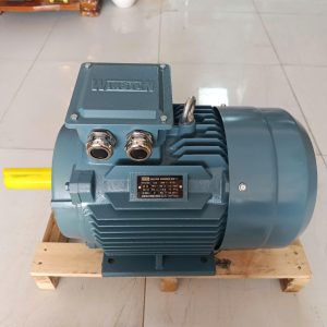 Động cơ Winston trên đế gỗ, thấy đầu trục, hộp cực và chân đế