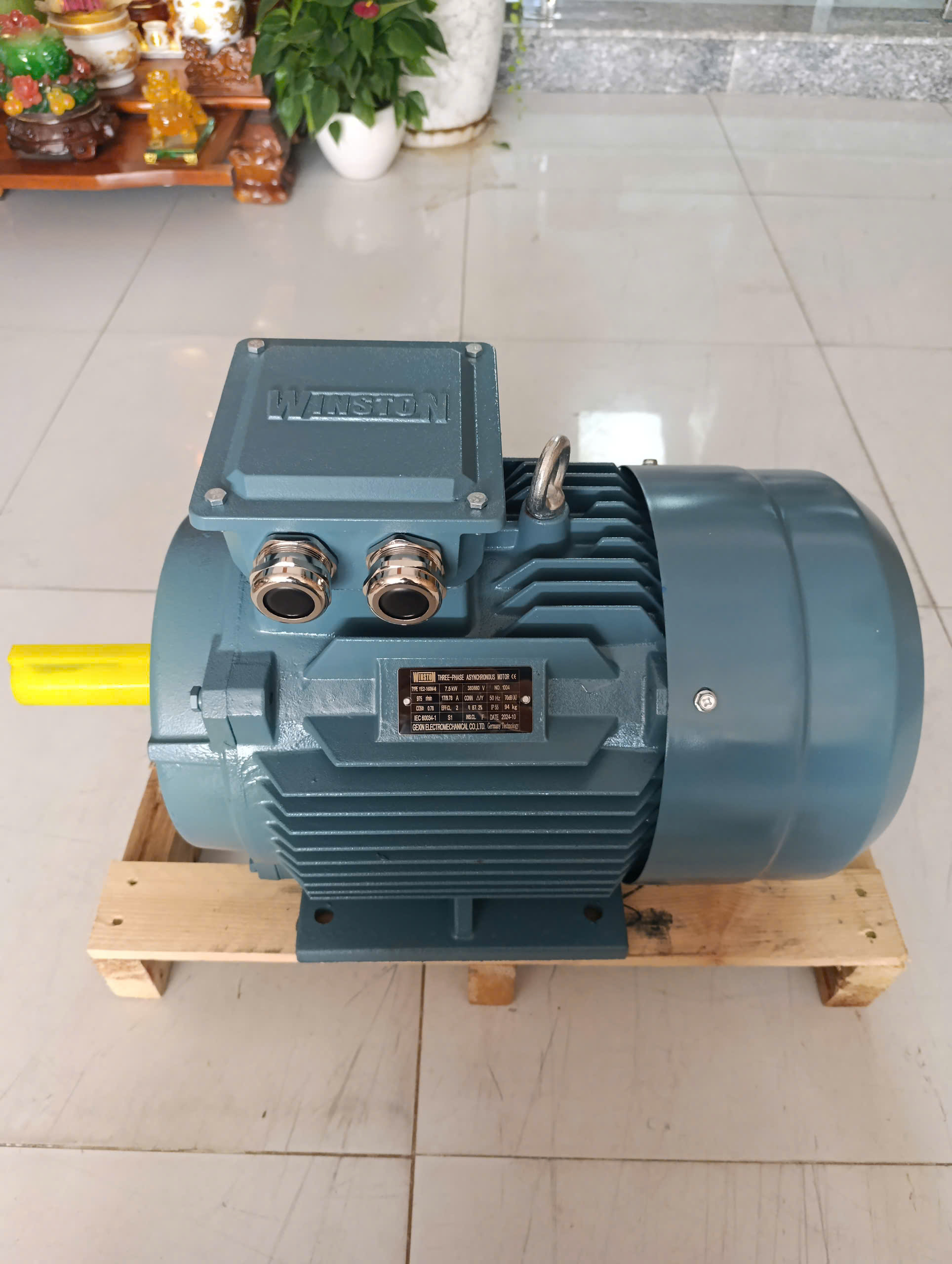 Động cơ Winston trên đế gỗ, thấy đầu trục, hộp cực và chân đế